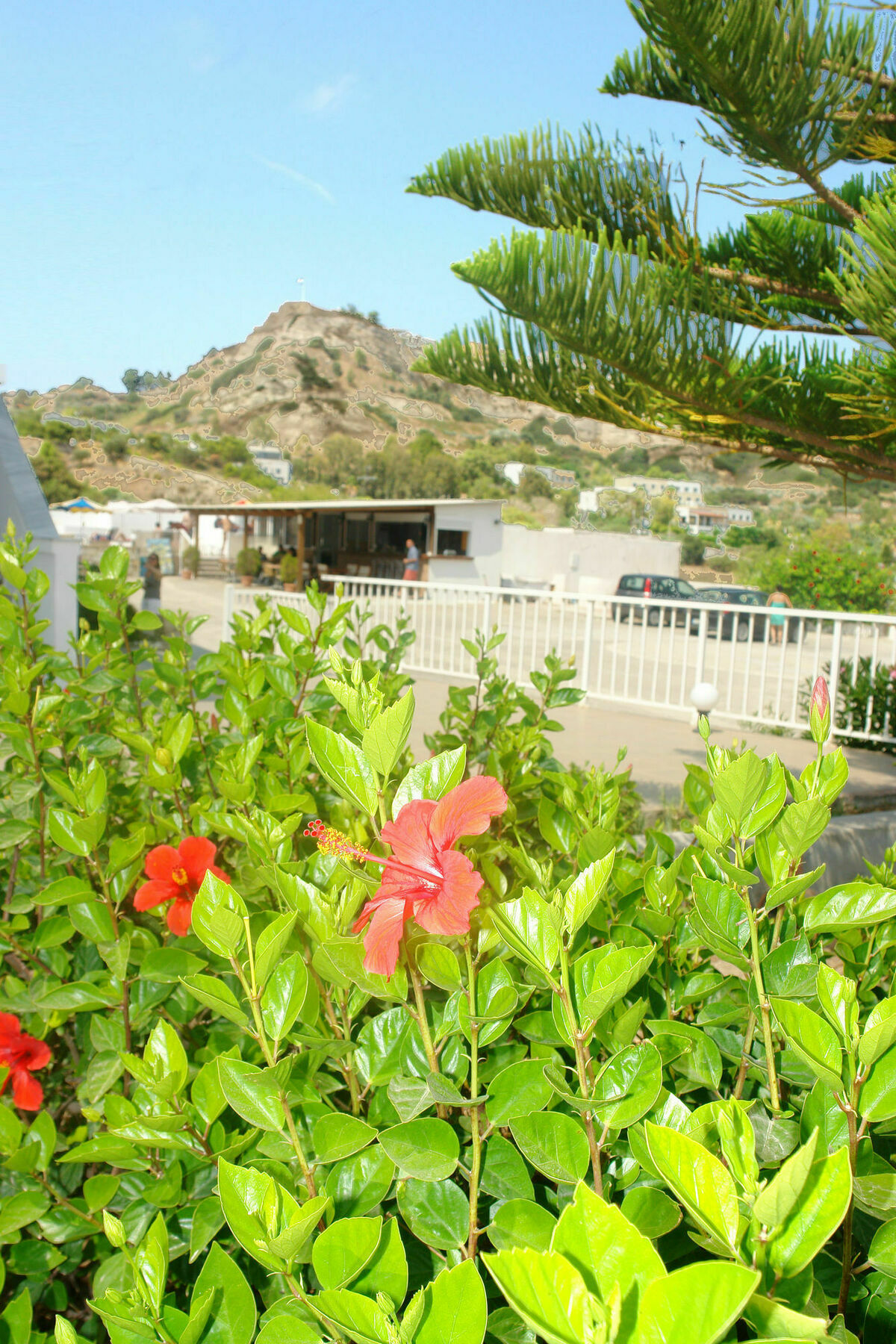 Archodia Studios Kefalos  Exterior photo